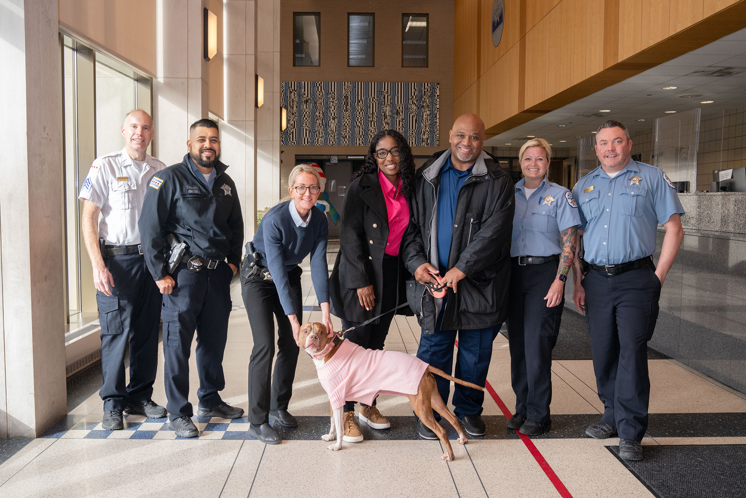 22nd District officers return stolen dog to owners; offender charged with felony