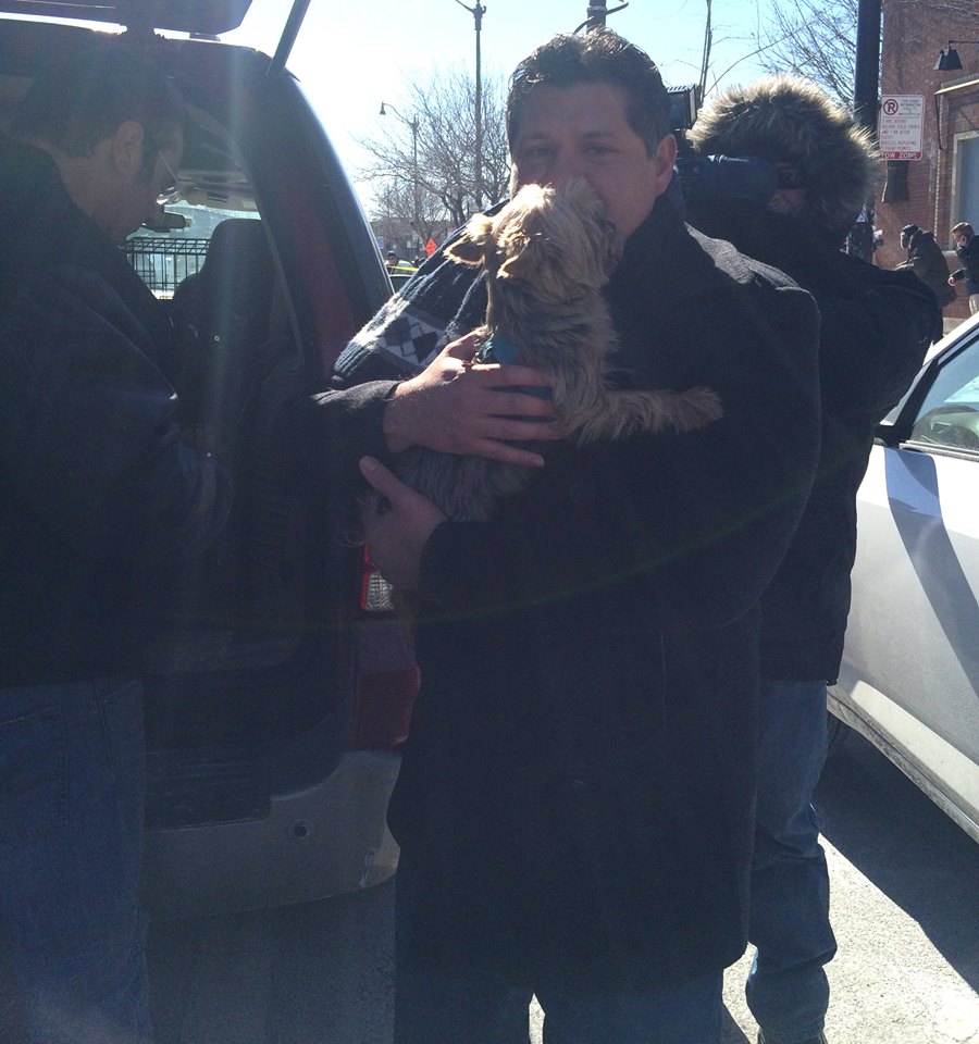 founddogs3