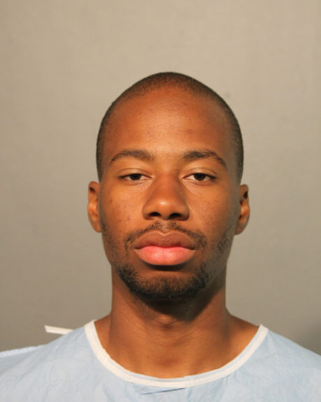 Convicted Felon Charged in Vicious CTA Attack of Elderly Woman